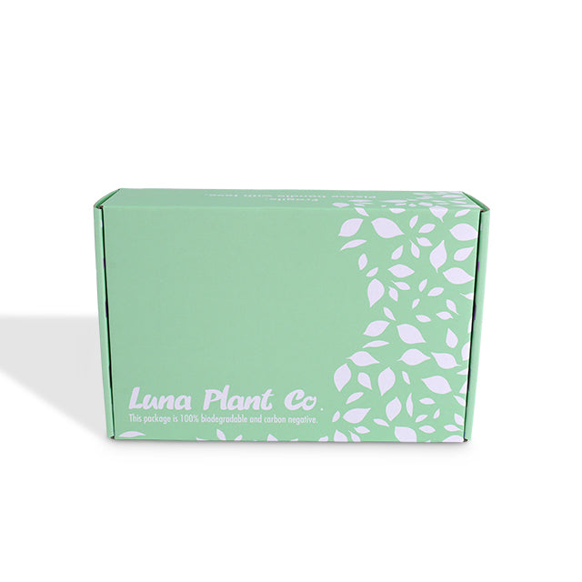 Green art paper mailer box with white leaf pattern on side panel.