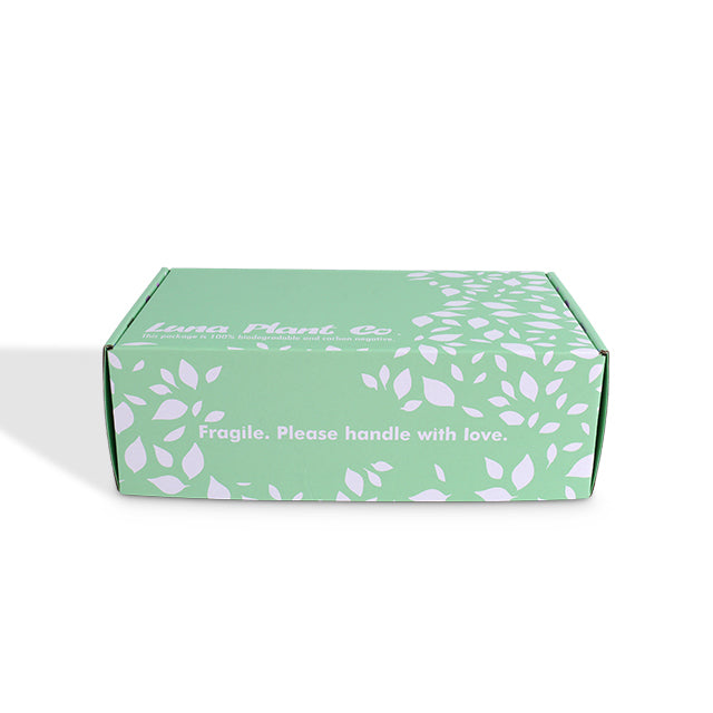 Green art paper mailer box with white leaf pattern and fragile handling text.